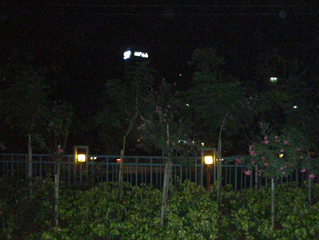 SAP night view