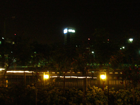 SAP night view