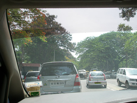 Trees over Bangalore traffic