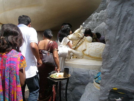 Nandi Bull at Shiva Temple