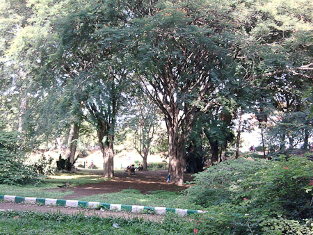 Lalbagh Botanical Gardens