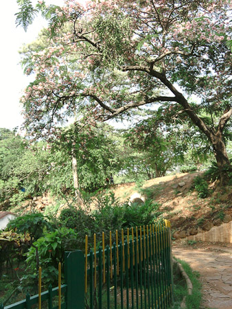 Lalbagh Botanical Gardens