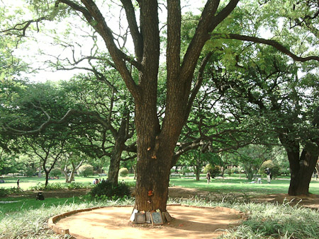 Memorial at Lalbagh Gardens