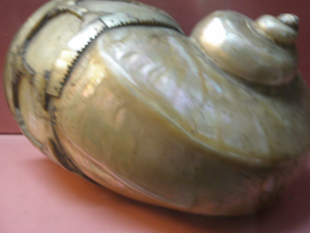 Powder horn shell